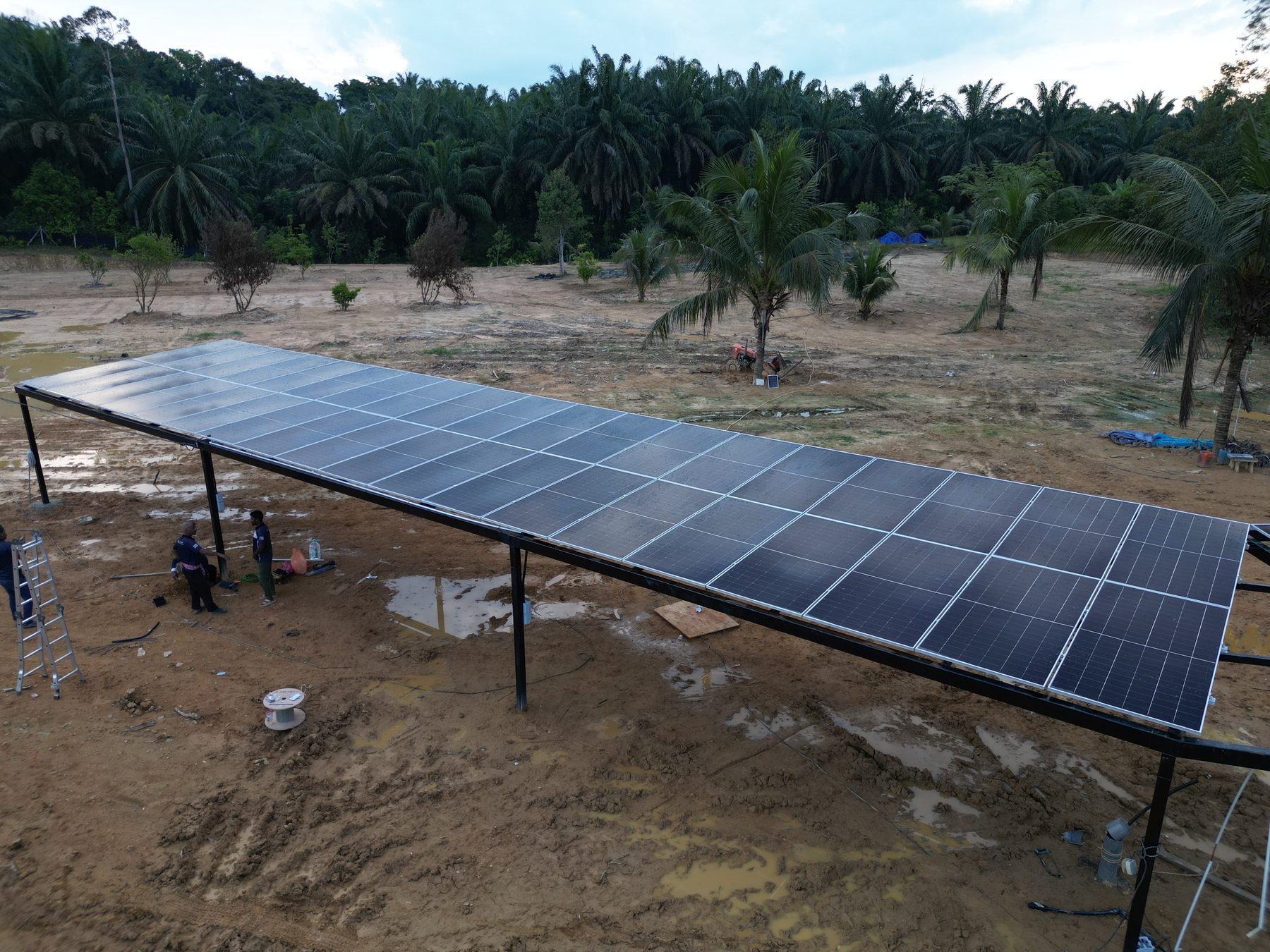 Aerial drone view of a completed RPG ground-mount solar panel array, rows of panels surrounded by palm trees