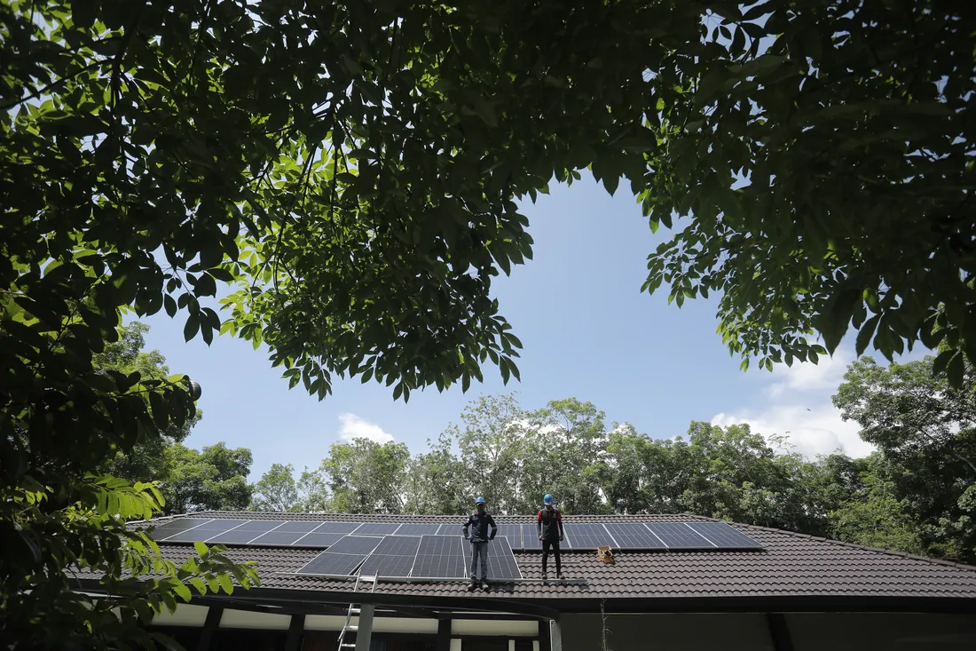 Completed rooftop solar panel array in Langkawi framed by tree canopy